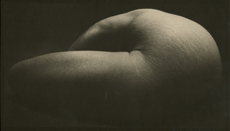 Max Waldman - Experimental Nude