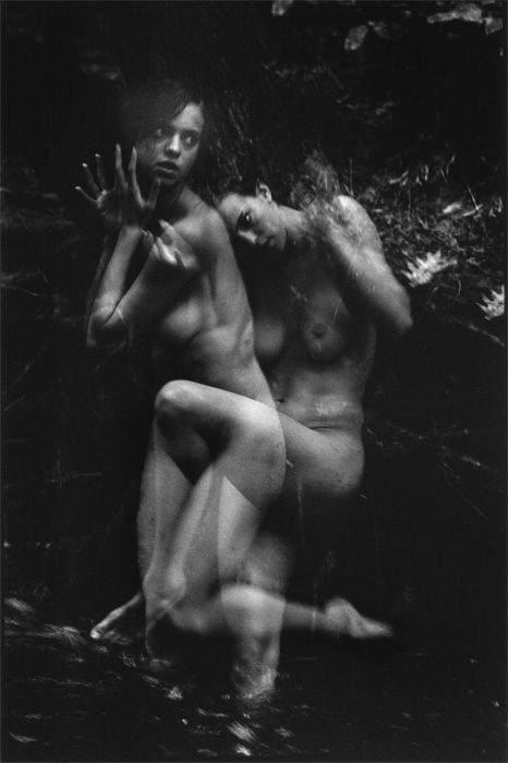 Michael Philip Manheim - Flight (From Mating Dance Series)