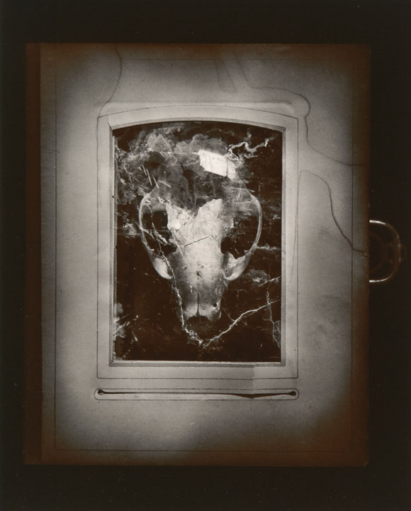 Olivia Parker - Amulet (from "Lost Objects portfolio)