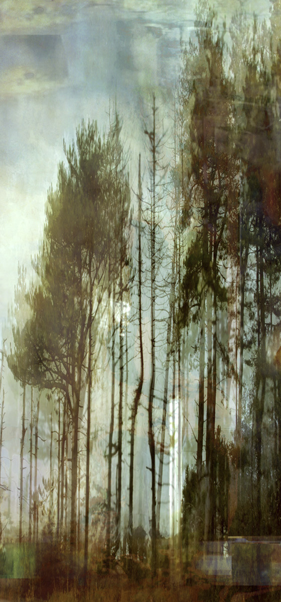 Lisa Holden - Blue Trees (from Series "Constructed Landscapes")