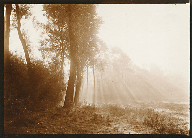Leonard Misonne - Light and Trees