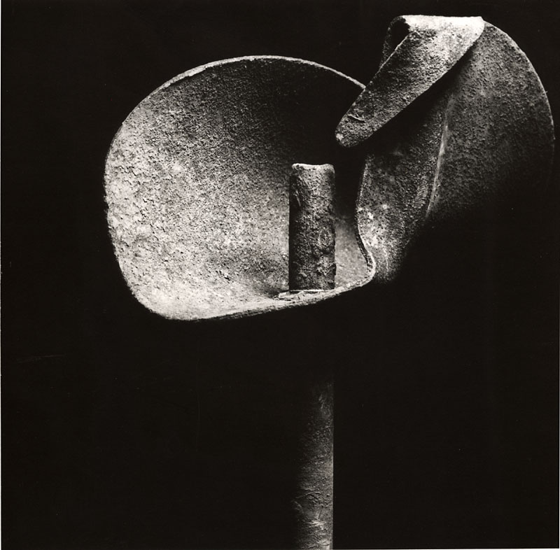 Ladislav Postupa - Flower