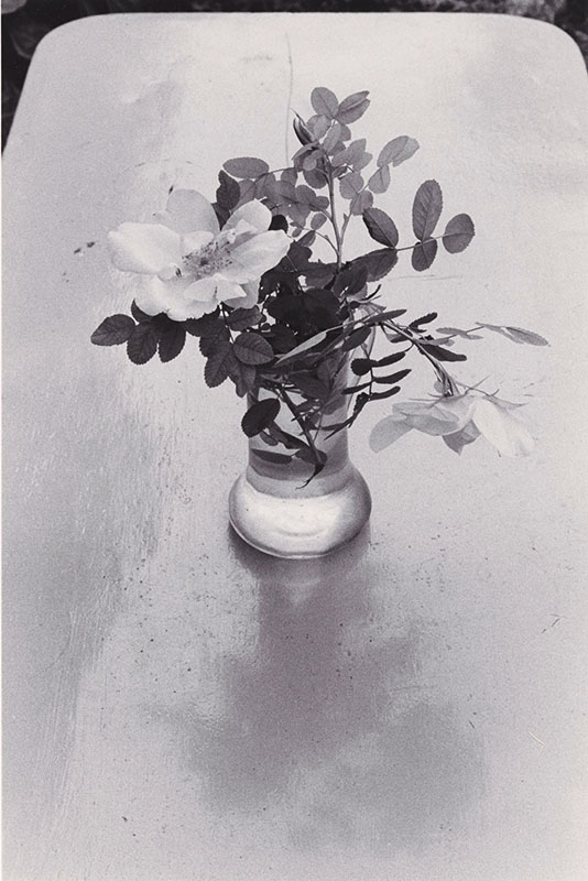 Edouard Boubat - Fleurs des Champs, Forêt de Fontainebleau