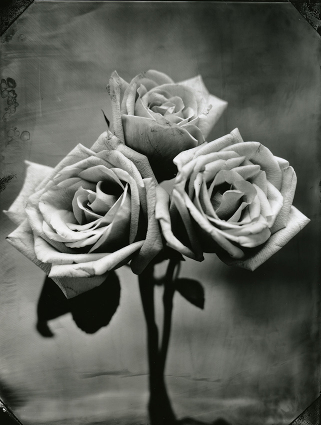 Click to view the Exhibit
