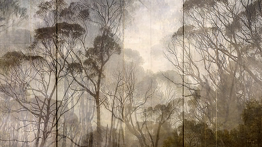 Lisa Holden - Angelica (from Series "Constructed Landscapes")