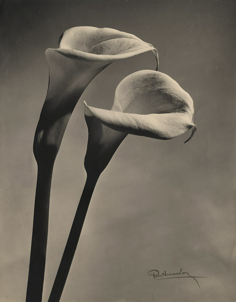Click to view the Exhibit