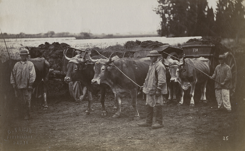 Constant Alexandre Famin - Men with Oxen-Driven Wagons