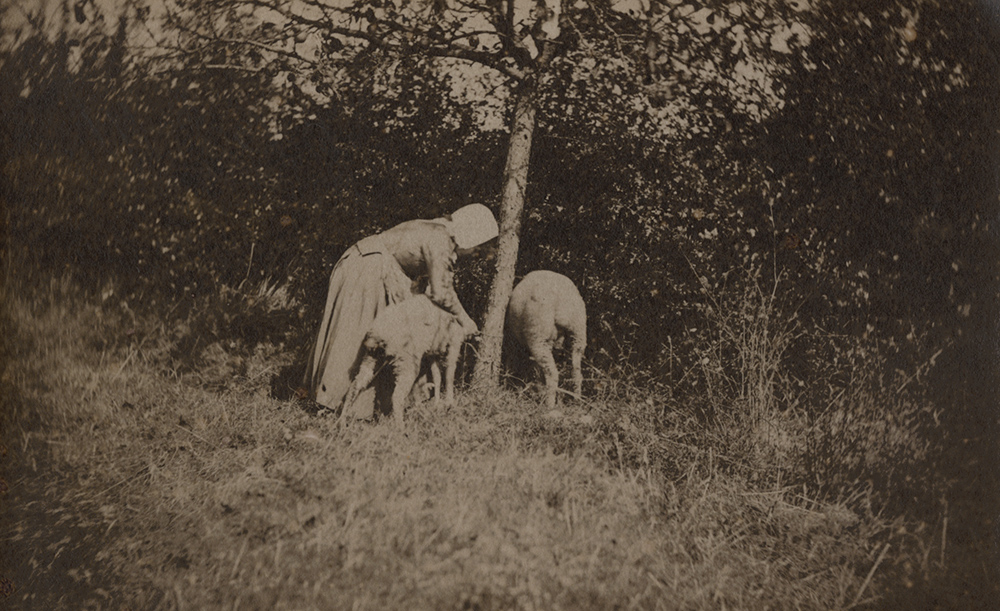 Auguste Giraudon's Artist - Woman with Sheep