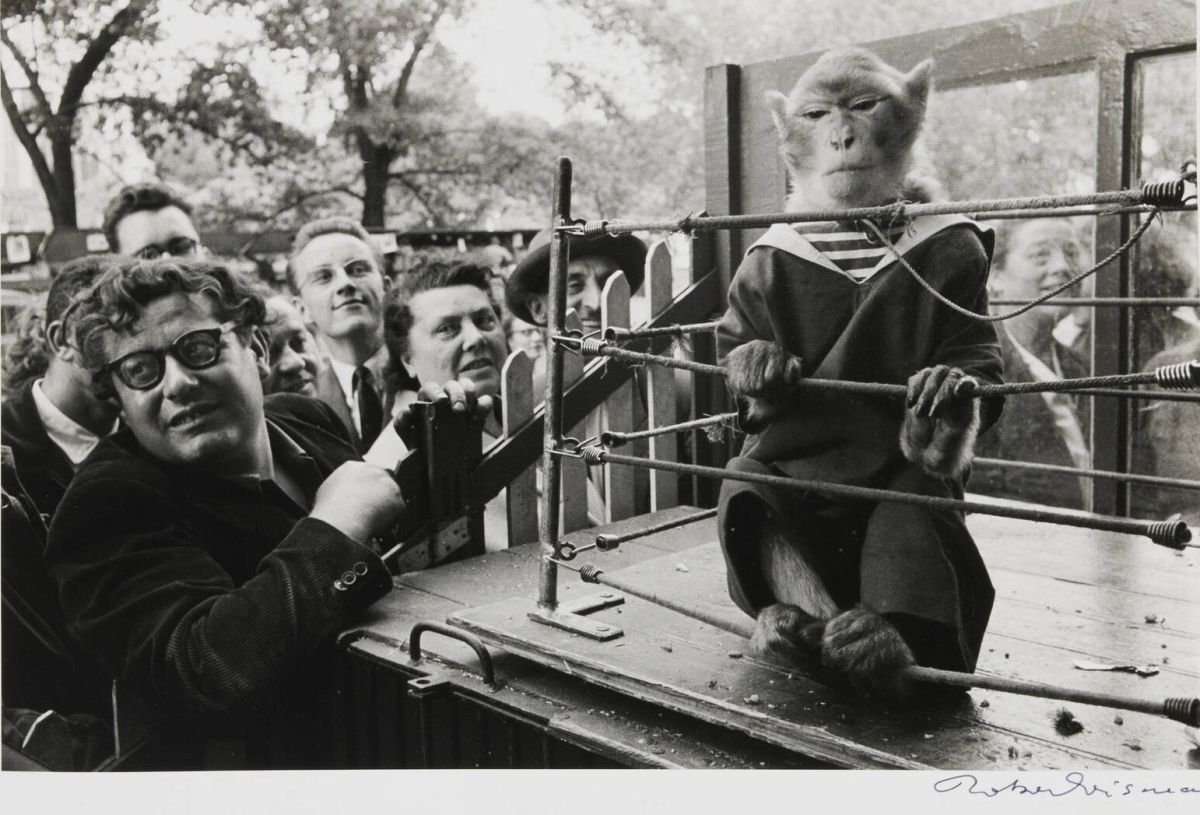 Robert Doisneau - Les Animaux Supérieurs Robert Doisneau - Les Animaux Supérieurs