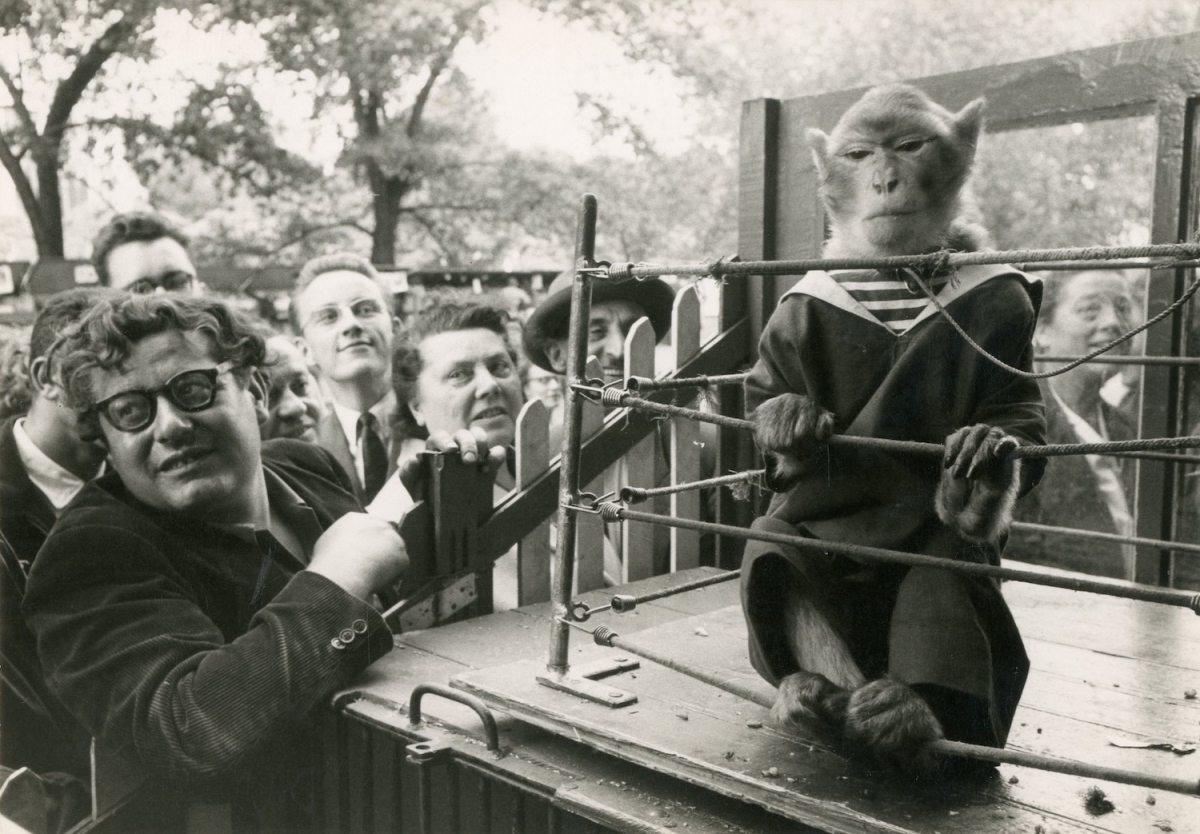 Robert Doisneau - Les Animaux Supérieurs Robert Doisneau - Les Animaux Supérieurs