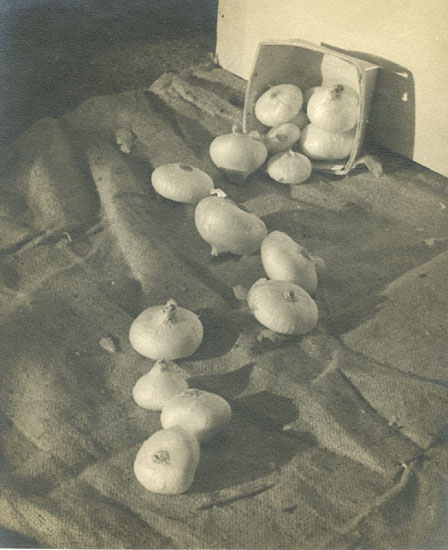 E. Lucerne Mailloux - Still Life of Onions and Basket