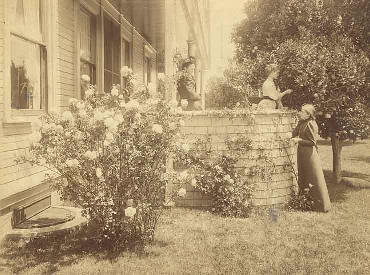 Hill of Pasadena - Rose Garden
