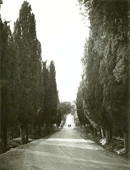Marcel Bovis - Near Montpellier, France