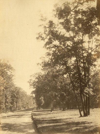 Hippolyte Bayard - A Study of Trees and Road