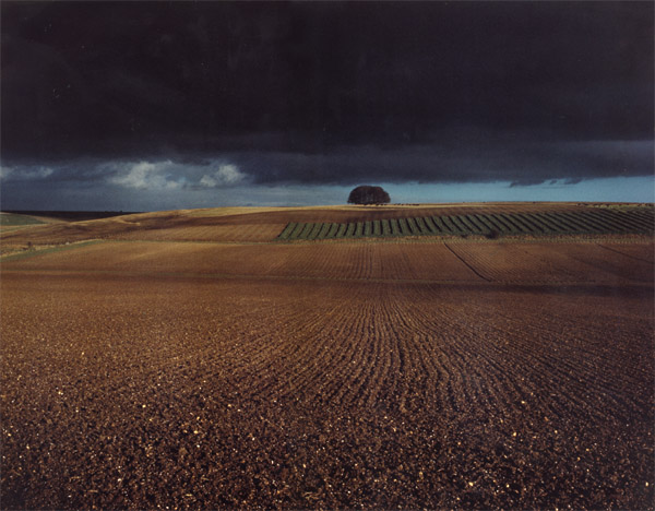 Jorge Lewinski - Marlborough Downs, England