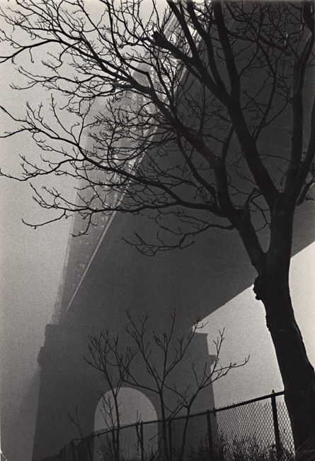 Susan McCartney - 59th Street Bridge in Fog, New York City, NY